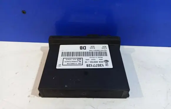 Door central lock control unit/module
