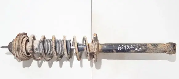 Rear shock absorber/damper