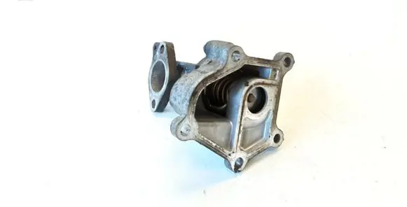Thermostat/thermostat housing