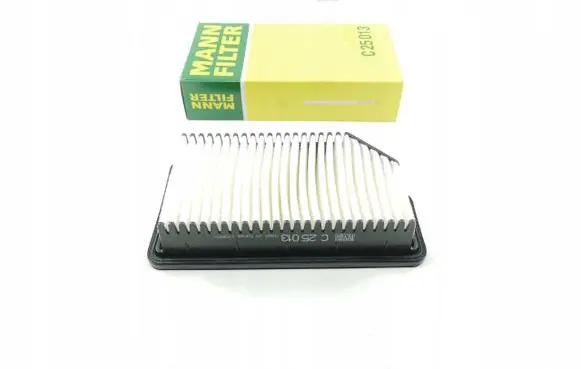 KIA Rio Air filter 