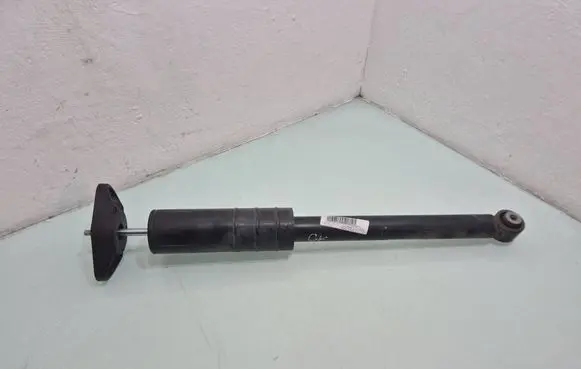 Alfa Romeo Stelvio Rear shock absorber/damper 00505491520