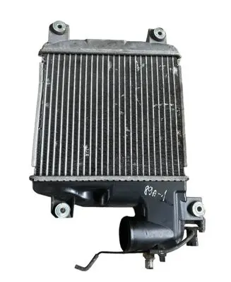 Toyota Hilux (AN10, AN20, AN30) Intercooler radiator TG1270000741