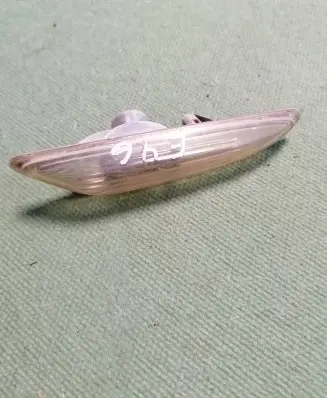 Front fender indicator light