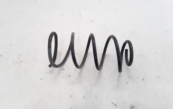 Front coil spring