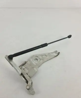 BMW X6 E71 Engine bonnet/hood hinges 7208627