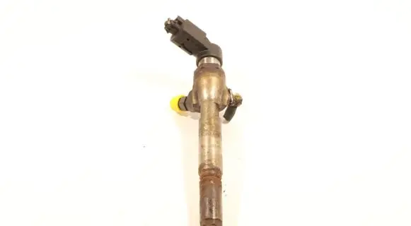 Renault Laguna III Fuel injector H8200294788