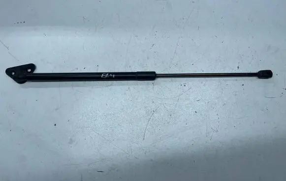 BMW X1 E84 Tailgate/trunk strut/damper 2990136