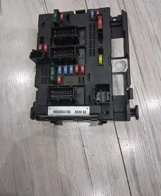 Peugeot 206+ BSM Control unit 9650664180