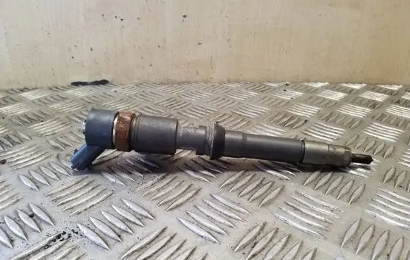 Fiat Ducato Fuel injector 0445110520 5801594342