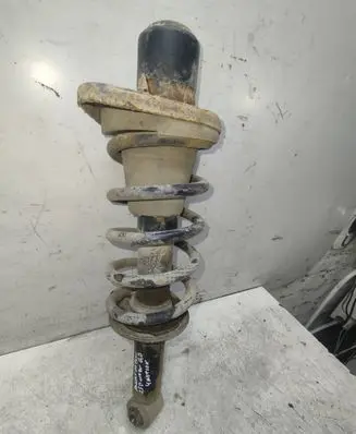 Volkswagen PASSAT B5.5 Rear shock absorber with coil spring 
