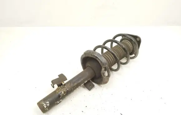 Ford C-MAX II Front shock absorber with coil spring AV6118K001CBE