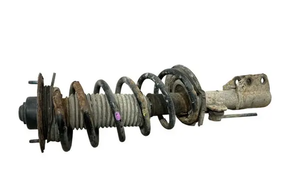 Chevrolet Captiva Front shock absorber with coil spring