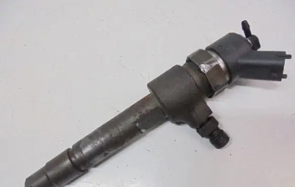 Fiat Punto (188) Fuel injector 0445110019