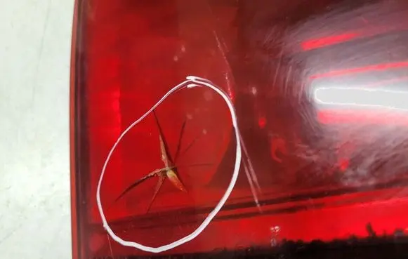 Toyota Avensis Verso Rear/tail lights 4457