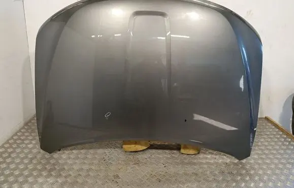 Engine bonnet/hood