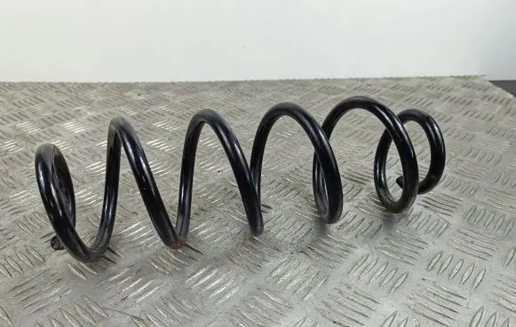 Suzuki SX4 S-Cross Rear coil spring