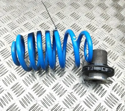 Audi TT TTS RS Mk3 8S Rear coil spring E4FD1Y038B00