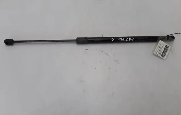 Tailgate strut