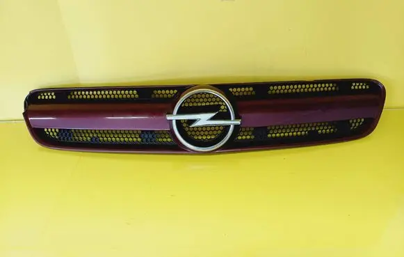 Opel Signum Front grill 464192822 13123491