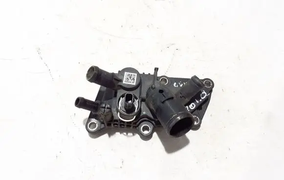 Renault Clio V Thermostat 110618961R