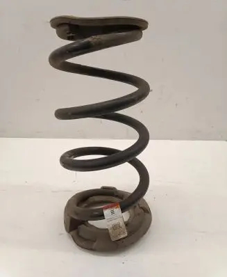 Rear coil spring