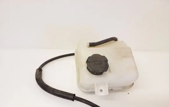 KIA Carens III Coolant expansion tank/reservoir 254303W000