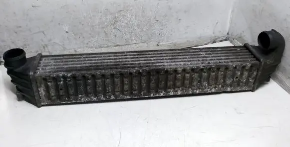 Volkswagen Sharan Intercooler radiator 7M3145805