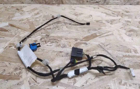 Front door wiring loom