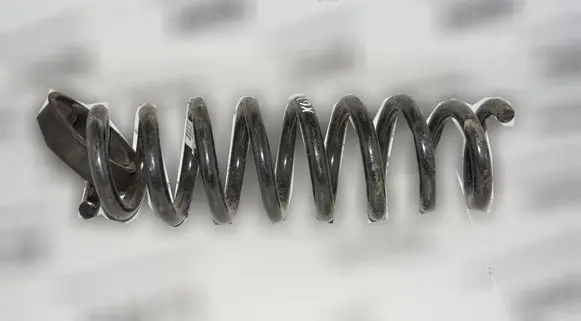 Rear coil spring
