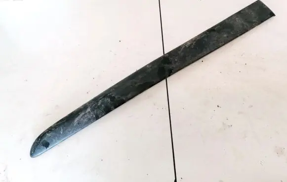 Renault Modus Rear door trim (molding) 8200213784