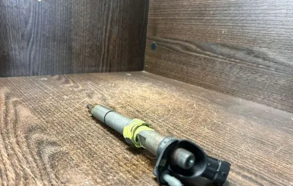 Iveco Daily 4th gen Fuel injector 0445116019 504385557