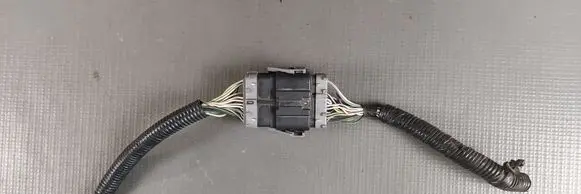 Other wiring loom