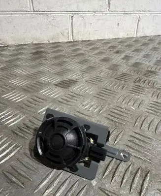 Panel speaker