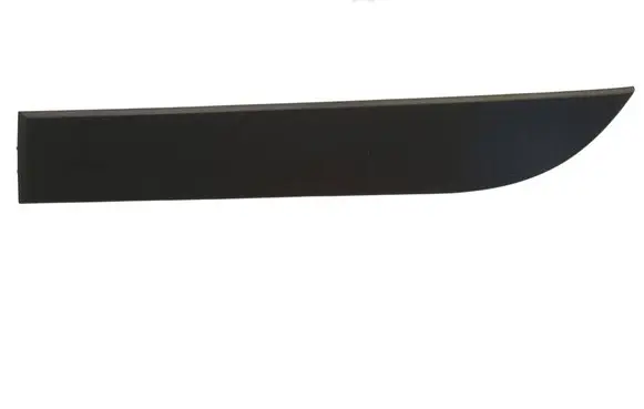 Rear door trim (molding)