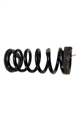 Ford Mustang VI Rear coil spring FR3C5560 FR3C5560BE Q48PA