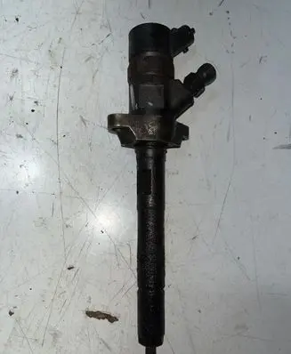 Citroen Berlingo Fuel injector 0445110239