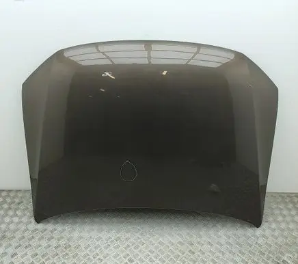 Volkswagen Amarok Engine bonnet/hood 2H0823033C