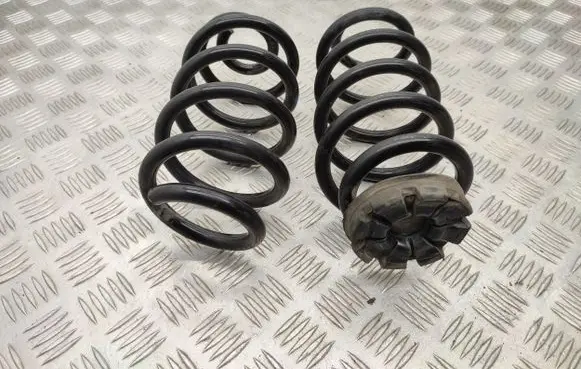 Renault Zoe Rear coil spring