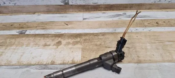Renault Scenic III - Grand scenic III Fuel injector H1055367 0445110 0445110414