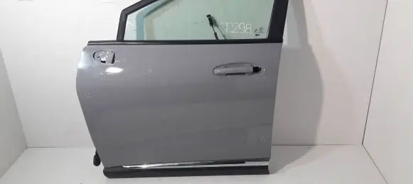 Ford Puma Front door