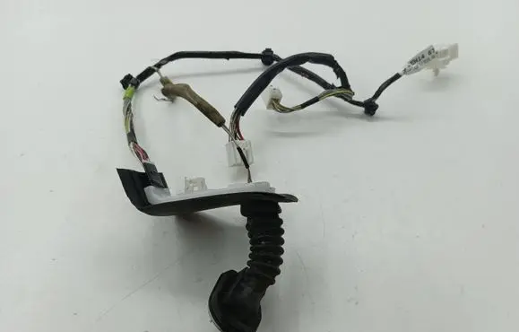 Rear door wiring loom