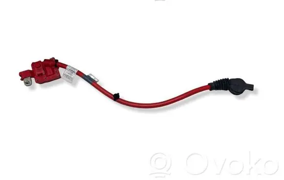 BMW 5 F10 F11 Positive cable (battery) 9217036 10304410 EEZ17Z