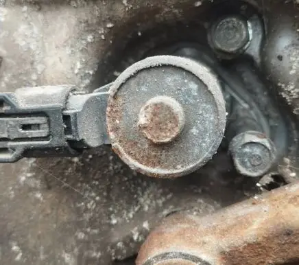 Camshaft pulley/ VANOS