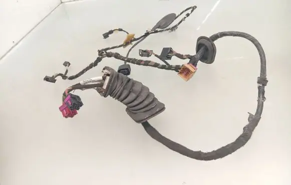 Front door wiring loom