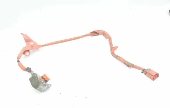 Toyota Corolla E210 E21 Other wiring loom 821H247010