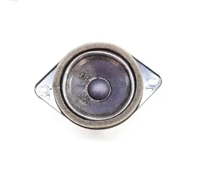 Ford Mustang Mach-E Front door speaker JX7T18808DA
