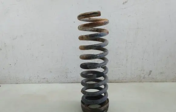 Rear coil spring