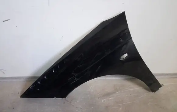 Citroen C6 Fender