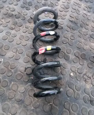 Rear coil spring