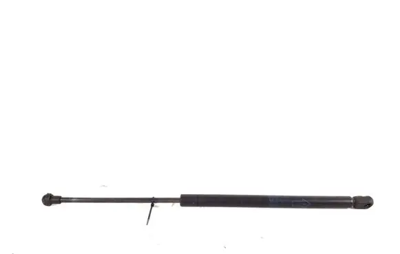 Tailgate strut